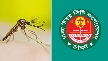 মশা কমাতে দিনে তিনবার মশক নিধন ওষুধ দেবে ডিএনসিসি