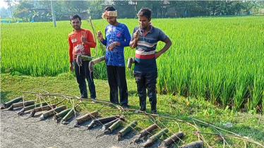 পেশা ইঁদুর ধরা, মাসে আয় ৪০ হাজার টাকা
