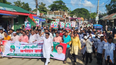 বিএনপির প্রতিষ্ঠাবার্ষিকীতে নালিতাবাড়ীতে আনন্দ মিছিল