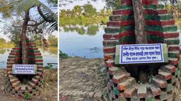 খালেদা জিয়ার রোপণ করা নিমগাছটি আজও দাঁড়িয়ে আছে স্মৃতিচিহ্ন হয়ে