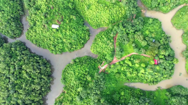 মানিকছড়ি ডিসি এডভেঞ্চার ও ইকো-ট্যুরিজম পার্ক পেল দেশসেরা স্বীকৃতি