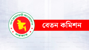 পে-কমিশনের প্রতিবেদনের বিষয়ে সুপারিশ দিতে এবার কমিটি গঠন 