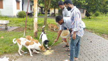 রাবিতে ফাঁকা ক্যাম্পাসে পশু-পাখিদের পাশে দাঁড়িয়েছে শাখা ছাত্রদল