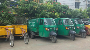 রাজবাড়ীতে বাড়ছে ডেঙ্গু রোগী, পৌরসভাতে নেই মসকিউটো মেডিসিন