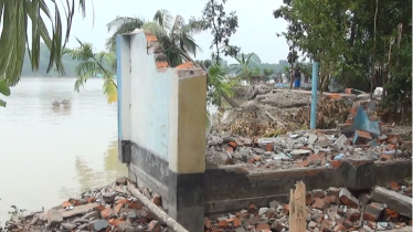 নবগঙ্গার পাড়ে চাপাকান্না, ভাঙছে নদী, নিঃস্ব হচ্ছে মানুষ (ভিডিও)