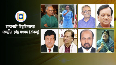 রাকসুর নির্বাচিত প্রতিনিধি থেকে জাতীয় নেতৃত্বে তাঁরা 