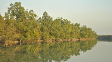 সুন্দরবনে আবার বেপরোয়া বনদস্যু, ভারতে বসে মোবাইলে চাঁদা দাবি!