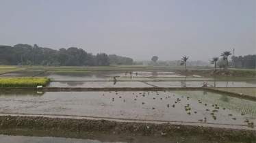 শীতে কাঁপছে সাতক্ষীরা, সর্বনিম্ন তাপমাত্রা রেকর্ড ১০.৮ ডিগ্রি 