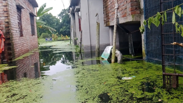 অল্প বৃষ্টিতেই জলাবদ্ধতা, সাভারে পানিবন্দি অর্ধশত পরিবার