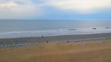 সালাহউদ্দিন আহমেদকে মন্ত্রী পেয়ে উচ্ছ্বসিত কক্সবাজারবাসী