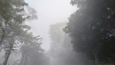 হিমেল বাতাস ও ঘন কুয়াশায় কুড়িগ্রামে শীতের থাবা