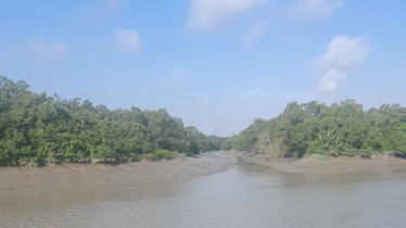 তিন মাস পর সোমবার থেকে পর্যটকদের জন্য আবার খুলছে সুন্দরবন