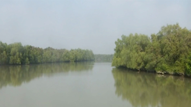 মুক্তিপণের দাবিতে সুন্দরবন থেকে সাত জেলে অপহরণ