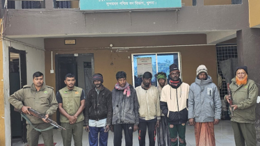 সুন্দরবনে অবৈধভাবে মাছ-কাঁকড়া শিকার, ৯ জেলে আটক, সরঞ্জাম জব্দ