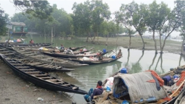 দুই মাস বন্ধ থাকার পর সুন্দরবনে কাঁকড়া আহরণ শুরু