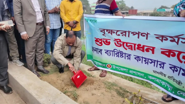 নেত্রকোণায় বৃক্ষরোপন কর্মসূচি উদ্বোধন করলেন ভূমি প্রতিমন্ত্রী