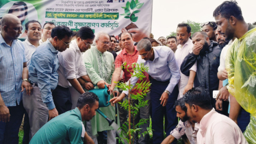 ডা. জুবাইদা রহমানের জন্মবার্ষিকী উপলক্ষে বৃক্ষরোপণ কর্মসূচি শুরু