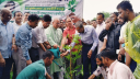ডা. জুবাইদা রহমানের জন্মবার্ষিকী উপলক্ষে বৃক্ষরোপণ কর্মসূচি শুরু