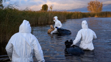 নতুন বছরের শুরুতেই বিপদ, বার্ড ফ্লু’র কবলে ইসরায়েল
