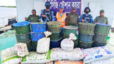 পাচারকারীদের ফেলে যাওয়া বোটে মিললো ৮৫০ কেজি কাঁকড়া