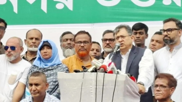 গণতান্ত্রিক শক্তিকে বিভক্ত করতে নানা ষড়যন্ত্র চলছে: সালাহউদ্দিন আহমেদ