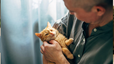 অহেতুক প্রাণী হত্যা বা কষ্ট দেওয়ার পরিণতি ভয়াবহ