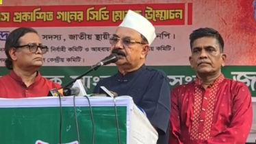 ক্ষমতায় যেতে নয়, গণতন্ত্রকে উদ্ধার করতে চায় বিএনপি: গয়েশ্বর রায়