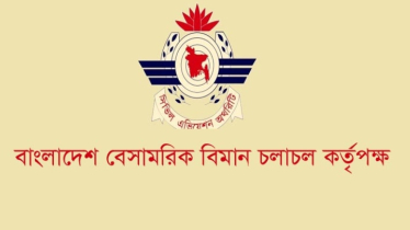 বেবিচককে বিভক্ত করে দুইটি পৃথক সংস্থা গঠনের সিদ্ধান্ত সরকারের