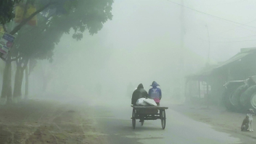 উত্তরে মৃদু শৈত্যপ্রবাহ, বৃষ্টির মত কুয়াশায় বিপাকে জনজীবন