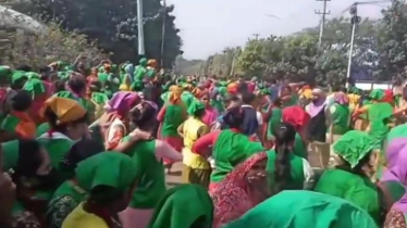 ভূমিকম্পে প্যানিক অ্যাটাক, এক কারখানার ৮০ নারী ভয়ে অজ্ঞান