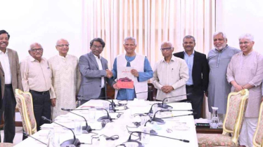 সংবিধান সংস্কারে গণভোট, পরামর্শ ঐকমত্য কমিশনের  