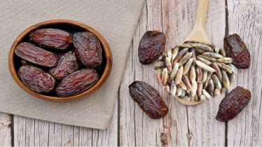 খেজুরের বিচির ১০ উপকারিতা