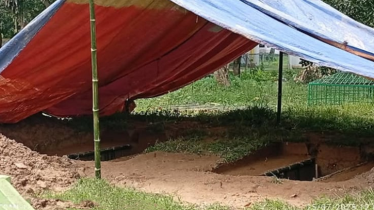 স্ত্রীর মৃত্যুর ৩ ঘণ্টা পরই স্বামীর মৃত্যু, পাশাপাশি কবরে দাফন