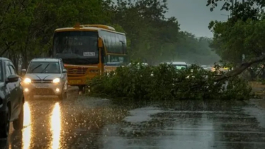 দিল্লিতে প্রচণ্ড ধূলিঝড় ও প্রবল বৃষ্টিতে শিশুসহ ৪ জনের মৃত্যু
