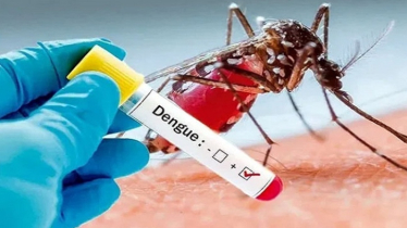 ডেঙ্গুতে আরও একজনের মৃত্যু, হাসপাতালে ১৮ জন  