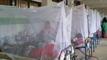 ডেঙ্গু আক্রান্ত হয়ে হাসপাতালে আরও ২০০ জন 