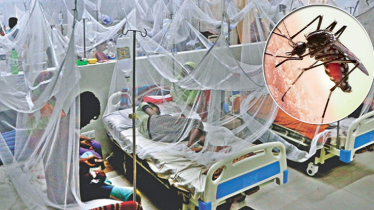 ডেঙ্গু নিয়ন্ত্রণের বাইরে দুই সিটির ১৩ ওয়ার্ড