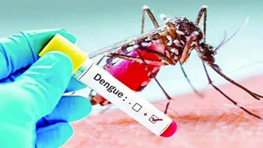 বাড়ছে ডেঙ্গুর প্রকোপ, আরও আক্রান্ত ২৪৮ জন
