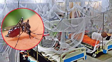 ডেঙ্গুতে আরও একজনের প্রাণহানি, হাসপাতালে ৪০৬ জন