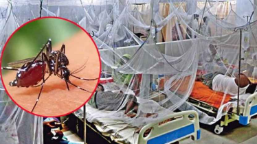 ডেঙ্গুতে আরও এক প্রাণহানি, হাসপাতালে ভর্তি ১১৪