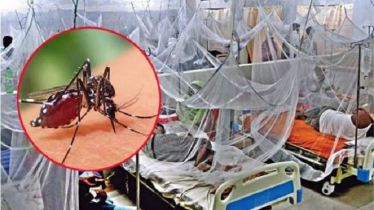 ডেঙ্গুতে আরও ২ জনের মৃত্যু, হাসপাতালে ভর্তি ৬২৫