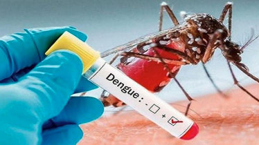 ডেঙ্গুতে আরও এক মৃত্যু, হাসপাতালে ভর্তি ৬৬৪