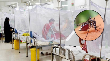 ডেঙ্গুর প্রকোপে দীর্ঘ হচ্ছে লাশের সারি, একদিনে আরও ৬ জনের মৃত্যু ডেঙ্গুর প্রকোপে দীর্ঘ হচ্ছে লাশের সারি, একদিনে আরও ৬ জনের মৃত্যু