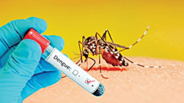 ডেঙ্গু আক্রান্ত হয়ে একদিনে হাসপাতালে ভর্তি ৪১০ জন 