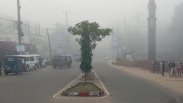 তীব্র শীতে বিপর্যস্ত উত্তরবঙ্গ, শ্রীমঙ্গলে সর্বনিম্ন তাপমাত্রা