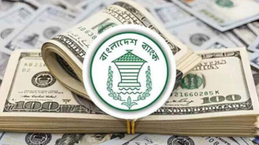 নভেম্বরে রেমিট্যান্স এসেছে পৌনে ৩ বিলিয়ন ডলারের বেশি  