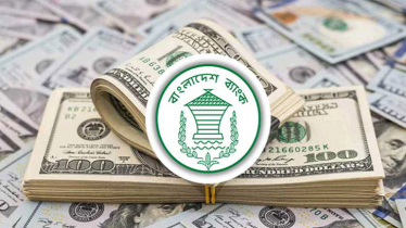 অর্থনীতিতে সুবাতাস, জুলাইয়ের ২৯ দিনে রেমিট্যান্স এসেছে ২২৭ কোটি ডলার