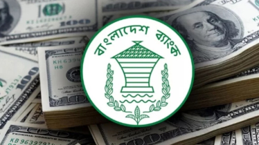 জানুয়ারির ২৫ দিনে রেমিট্যান্স এসেছে ১৬৭ কোটি ডলার 