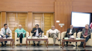 কোনো কিছু চাপিয়ে দিচ্ছেনা ঐকমত্য কমিশন: আলী রীয়াজ