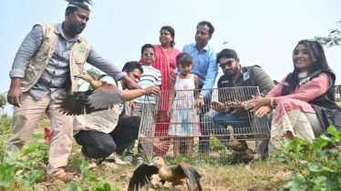রাজধানীর বনানী থেকে উদ্ধারকৃত পাখি পূর্বাচলে অবমুক্ত